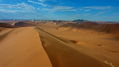 风景动物 沙漠 海浪 4K演示 视频